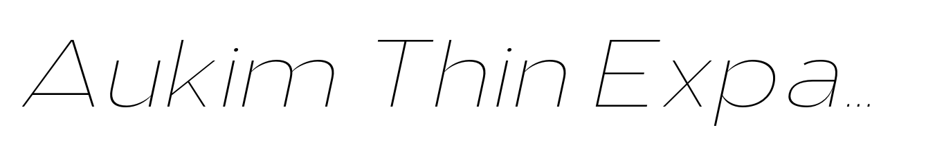 Aukim Thin Expanded Italic